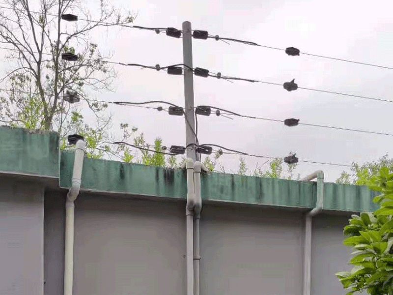 電子圍欄系統