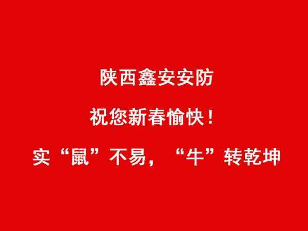 陜西鑫安安防
